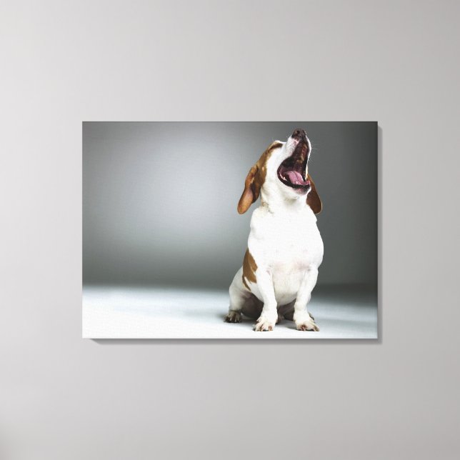 Blandrasens jakt, närhet canvastryck (Framsida)