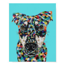 Blandrash hund