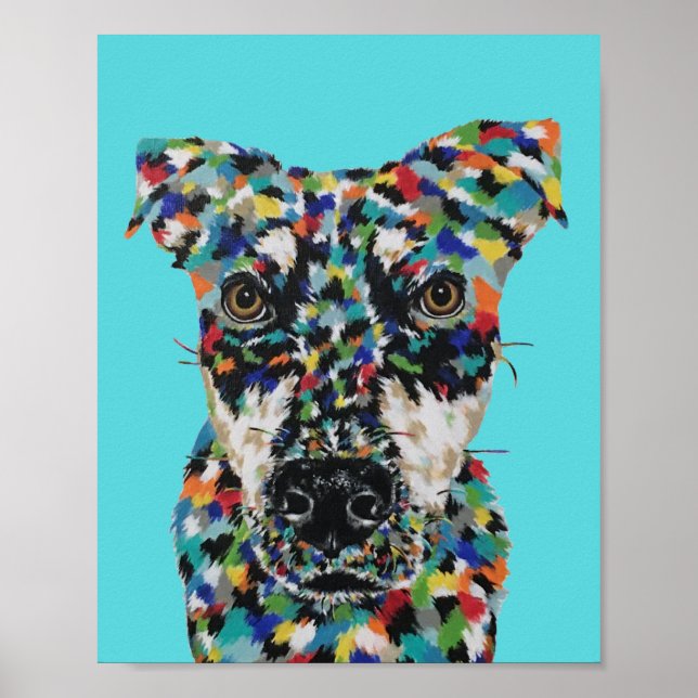 Blandrash hund poster (Framsidan)