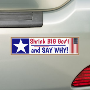 Blänk Big Gov och SÄG VARFÖR! Bumper Sticker Bildekal
