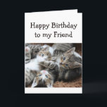 Blank Grattis på födelsedagen Friend Roligt Pile K Kort<br><div class="desc">Grattis på födelsedagen med en roligt kattungar för kattens älskande vän. Tom inuti om du vill lägga till ditt eget meddelande</div>