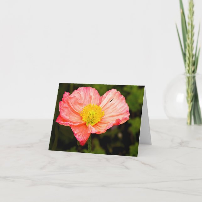 Blank Note Card - Poppy Kort (Framsida)