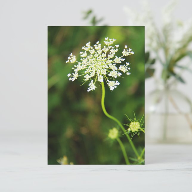 Blank Queen Anne's Snöre Wildblomma Anteckningskort (Stående Fram)