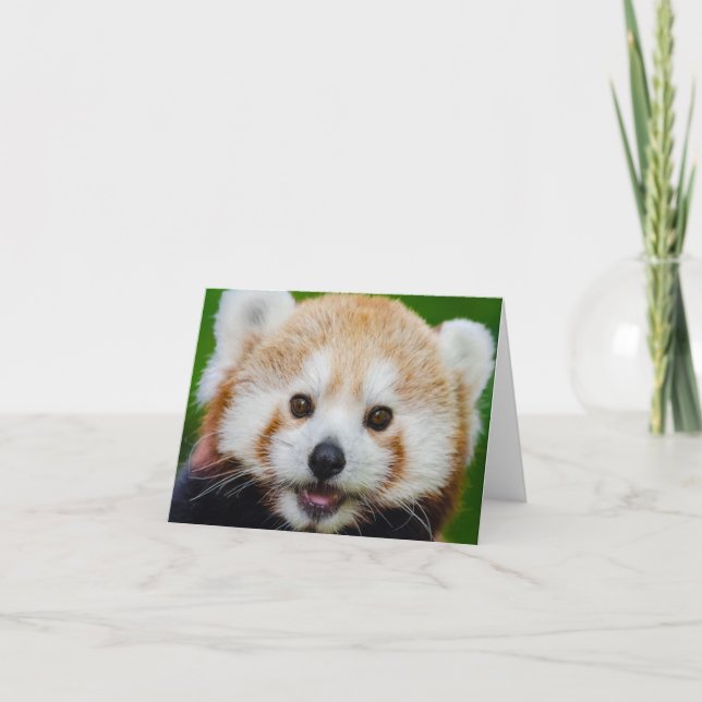 BLANK SMALL NOTECard: RED PANDA Kort (Framsida)