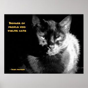 Blank Svart Katt med ordspråk Poster