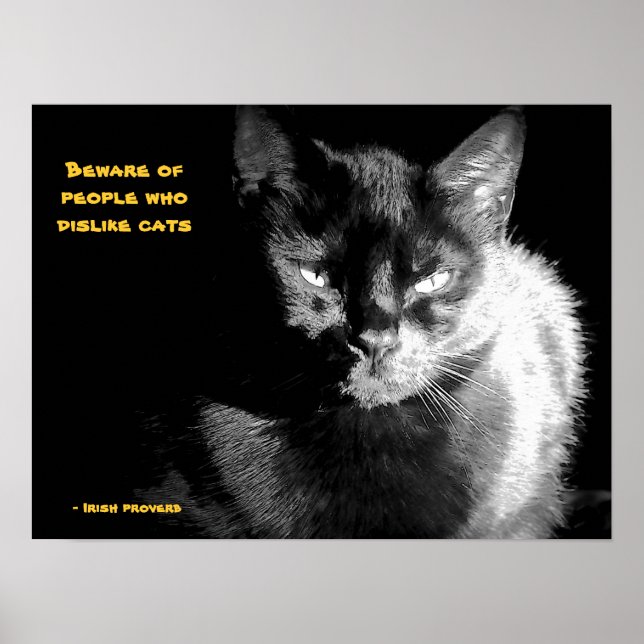 Blank Svart Katt med ordspråk Poster (Framsidan)