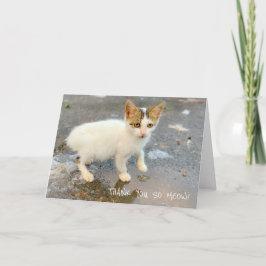 BLANK TACK SÅ MYCKET! TACK DIG CARD