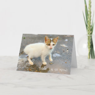 BLANK TACK SÅ MYCKET! TACK DIG CARD