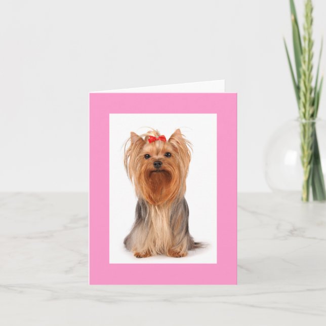 Blank Yorkshire Terrier Puppy Hund Notecard Tack Kort (Framsida)