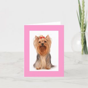 Blank Yorkshire Terrier Puppy Hund Notecard Tack Kort