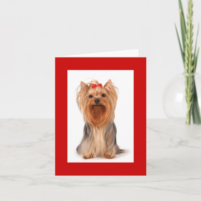 Blank Yorkshire Terrier Puppy Hund Notecard Tack Kort (Framsida)