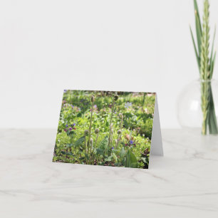 Blanka anteckningskort för sidohuvuden och blommor