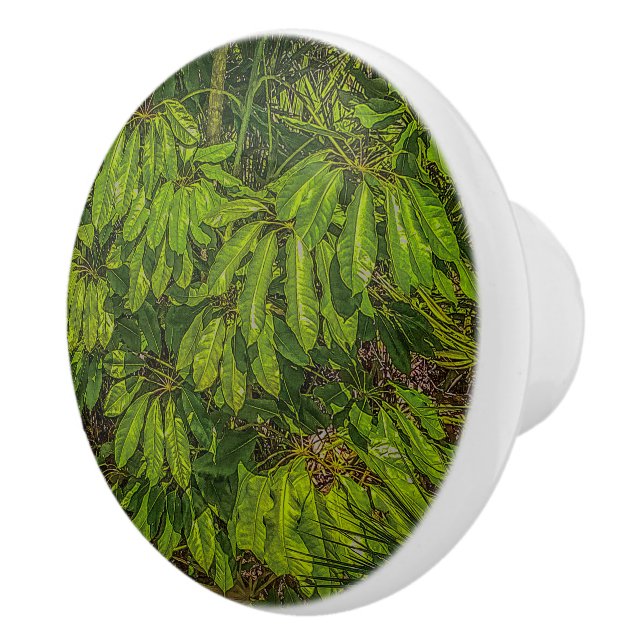 Blanka blad i solljus knopp (Höger)