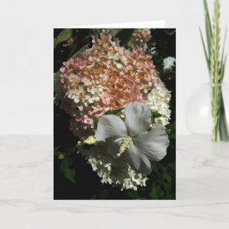 Blanka blandade blommor, kort-1 tack kort