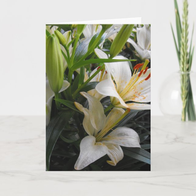 Blanka blomkålsblanketter tack kort (Framsida)