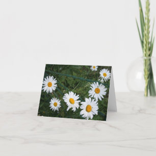 Blanka Daisy i sommartid, mappat gratulationskort Kort