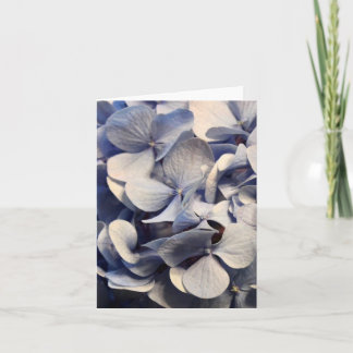 Blanka hydrangea Blank Notecards Kort