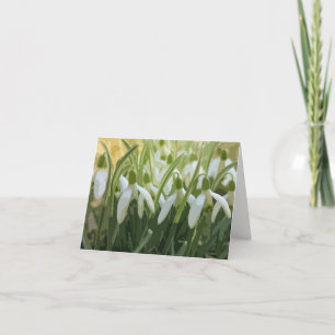 Blanka notecard med snutar kort