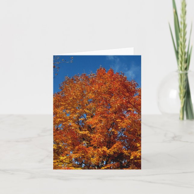 Blanka_Orange Träd översta brand Kort (Framsida)