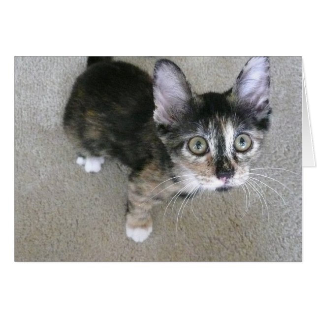 blanka skrivna anteckningar hälsningskort (Framsidan Horizontal)