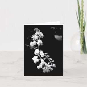 Blanka svarta och vita blommor tack kort