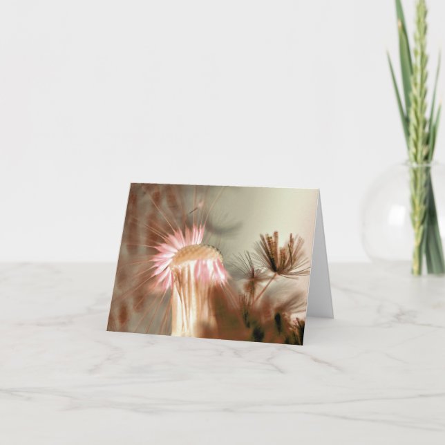Blanka tackkort för Dandelion (Framsida)