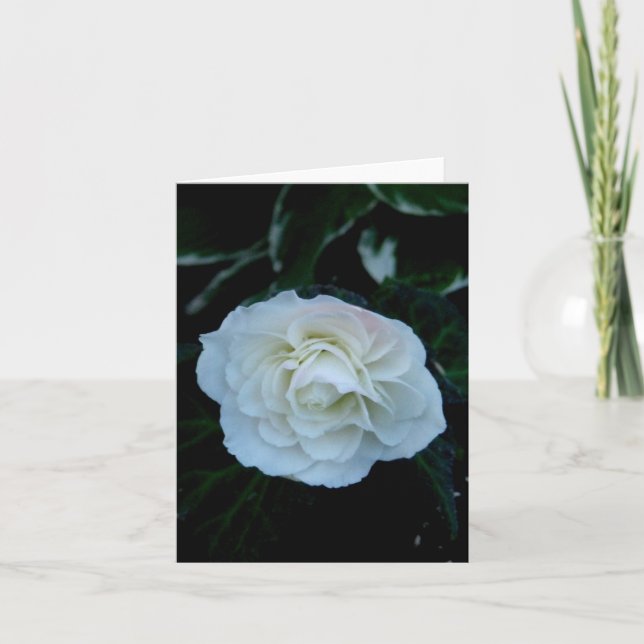 Blanka vita blommor kort (Framsida)