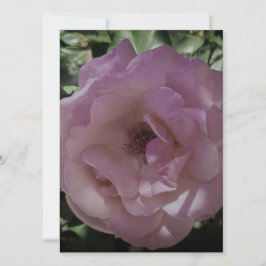 BLANKETT FÖR WEDDING-INBJEKTET RO STIL