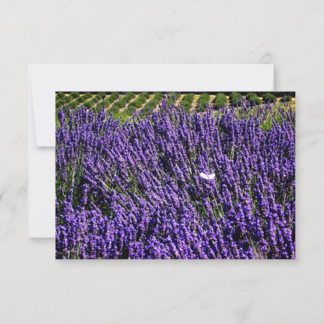 Blankett Lavender Fält Personlig Inbjudningar (Framsida)