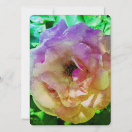 BLANKETTBEAUTIFUL RO STIL