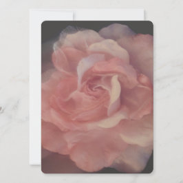 BLANKETTBEAUTIFUL RO STIL