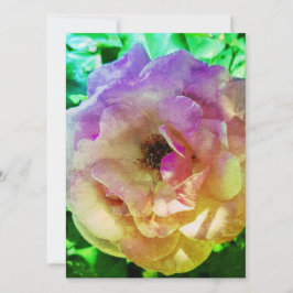 BLANKETTBEAUTIFUL RO STIL