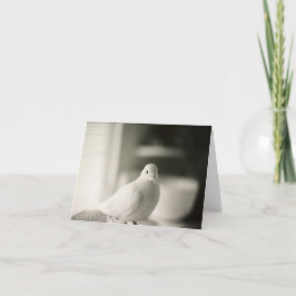 Blankkort för duva kort