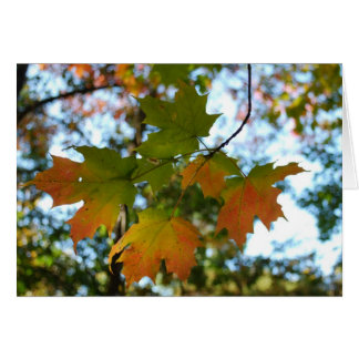 Blankkort för kapsel Löv Hälsningskort