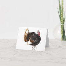 Blankkort för Turkiet