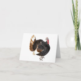 Blankkort för Turkiet Kort