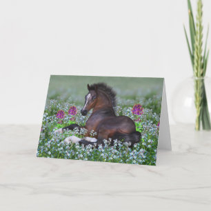 Blankokort för föl och blommor kort