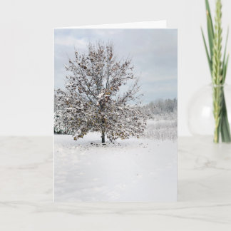 Blankt anteckningskort för första Snö