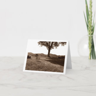 Blankt anteckningskort för Golv Tom rom