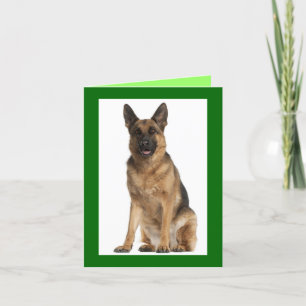 Blankt anteckningskort för Hund med schepherd Pupp