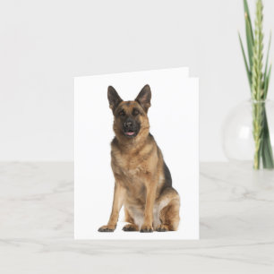 Blankt anteckningskort för Hund med schepherd Pupp