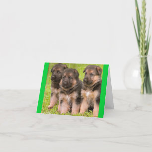 Blankt anteckningskort för Hund med schepherd Pupp