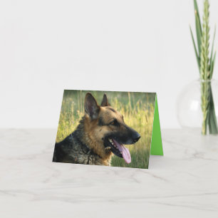 Blankt anteckningskort för Hund med schepherd Pupp