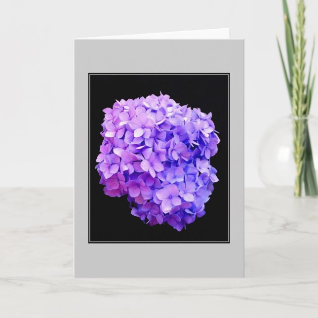 Blankt anteckningskort för Lila Hydrangea Bloom (Framsida)
