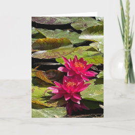 Blankt anteckningskort för Vatten Lilies