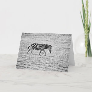 Blankt anteckningskort för Zebra Walk