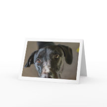 Blankt "Bästa vän"-gratulationskort