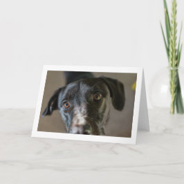 Blankt "Bästa vän"-gratulationskort Kort