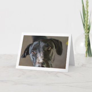 Blankt "Bästa vän"-gratulationskort Kort