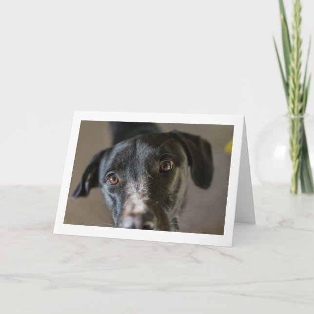 Blankt "Bästa vän"-gratulationskort Kort (Framsida)